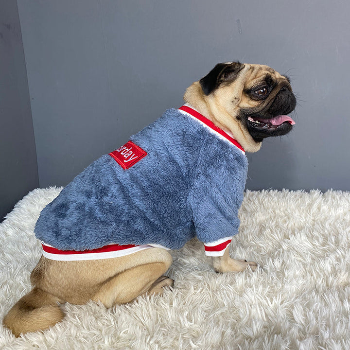 Why Your Pet Deserves the Soft Comfortable Pet Sweater