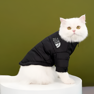 Stylish Pet Clothing for All Seasons