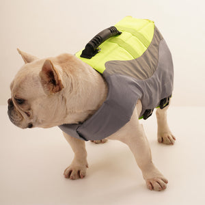 Why Your Dog Needs a Reflective Pet Dog Swimsuit Life Jacket