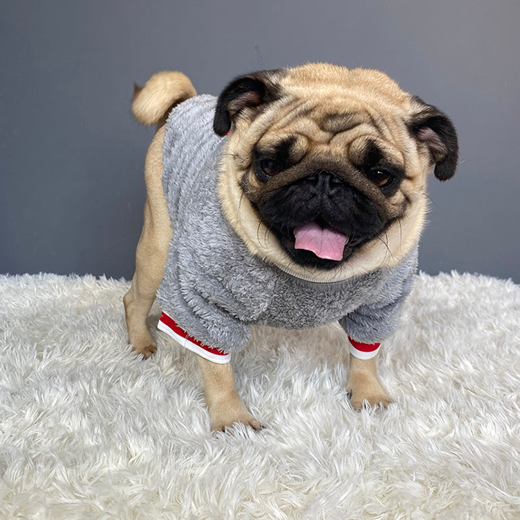 Soft Comfortable Pet Swaeter