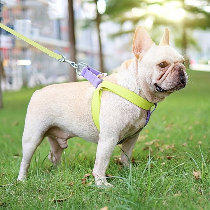 Rainbow Colorblock Pet Harness Cotton Leash