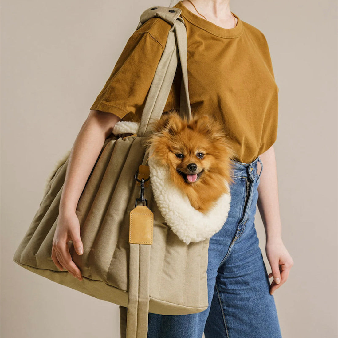 Pet Light Waterproof Carrier Dog Bag