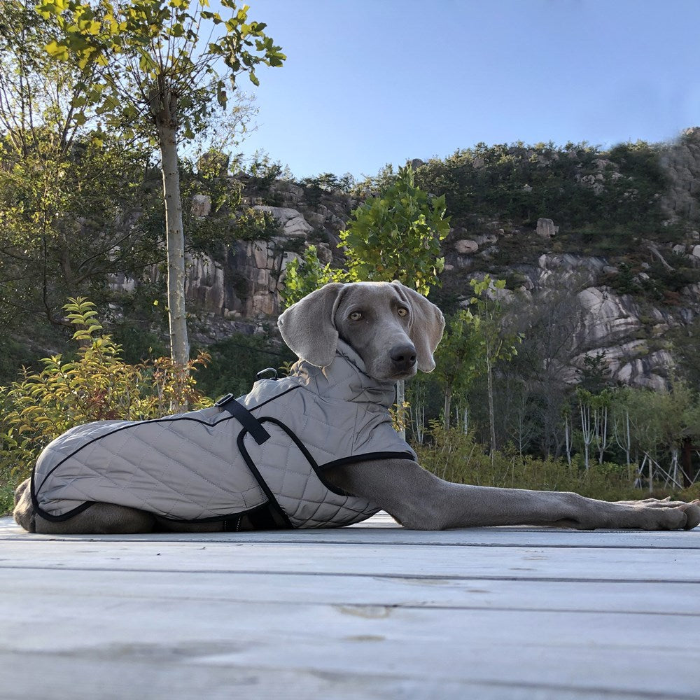 Pet Reflective Tactical Jacket For Dogs