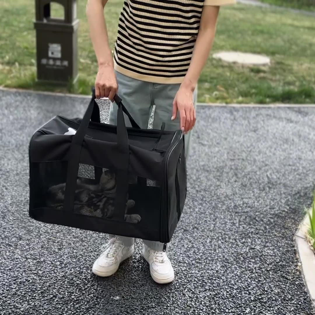 Portable Transport Pet Carrier
