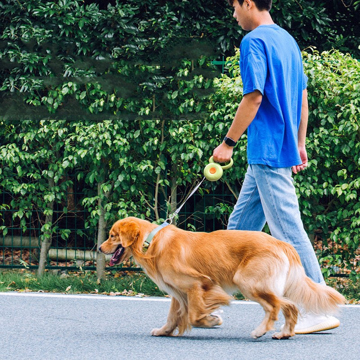 Retractable Pet Leash Reflective Rope