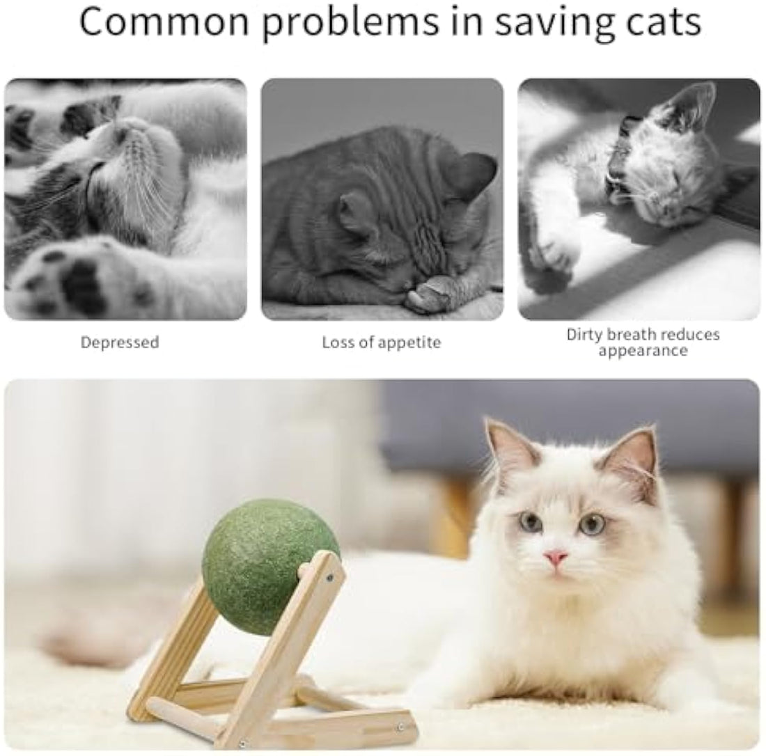 Catnip Balls Catnip Toys For Cats