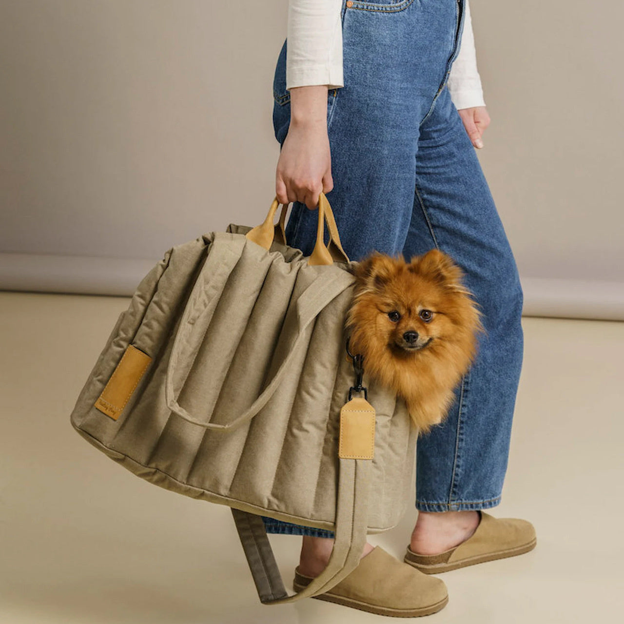 Pet Light Waterproof Carrier Dog Bag