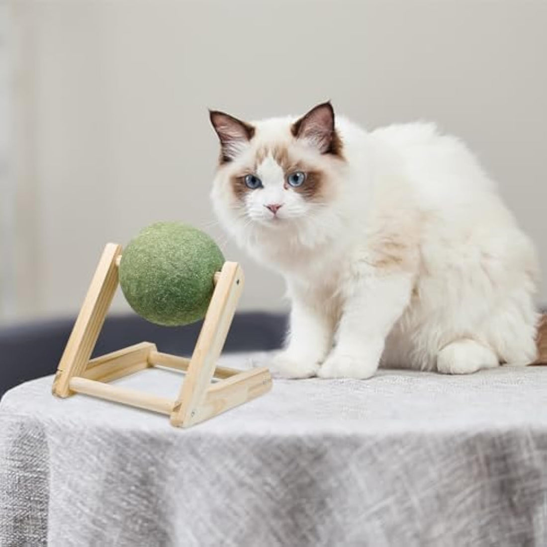 Catnip Balls Catnip Toys For Cats