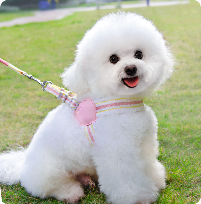 Summer Breathable Walking Dog Leash