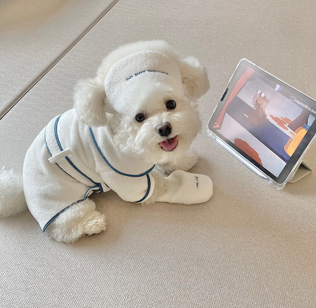 Pet Bath Towel Bathrobe