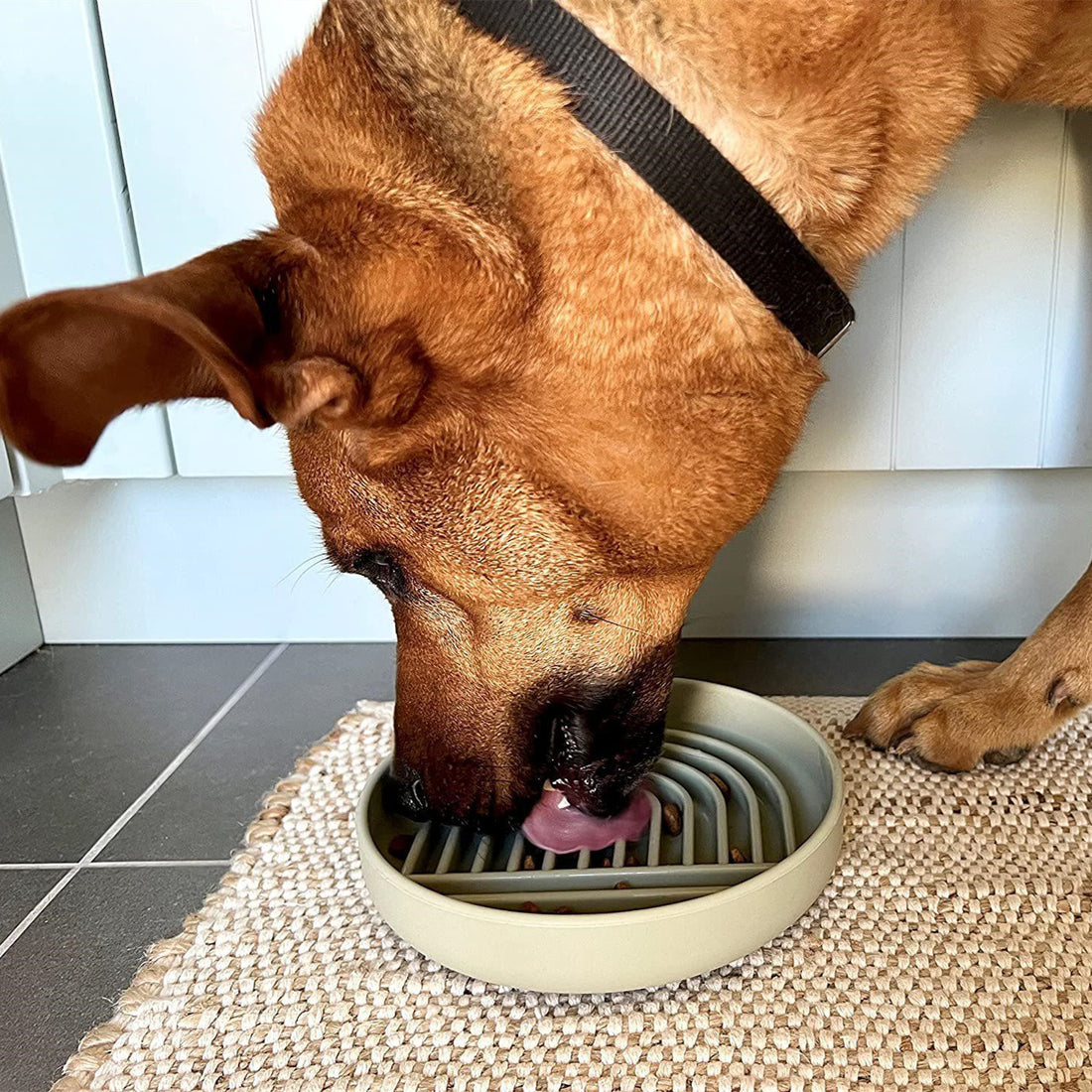 Pet Cat And Dog Simple Slow Feeding Bowl