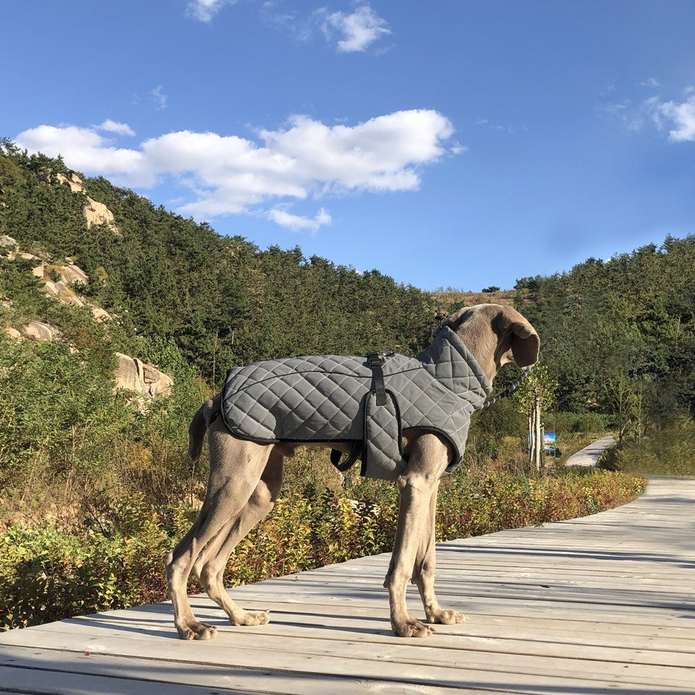 Pet Reflective Tactical Jacket For Dogs