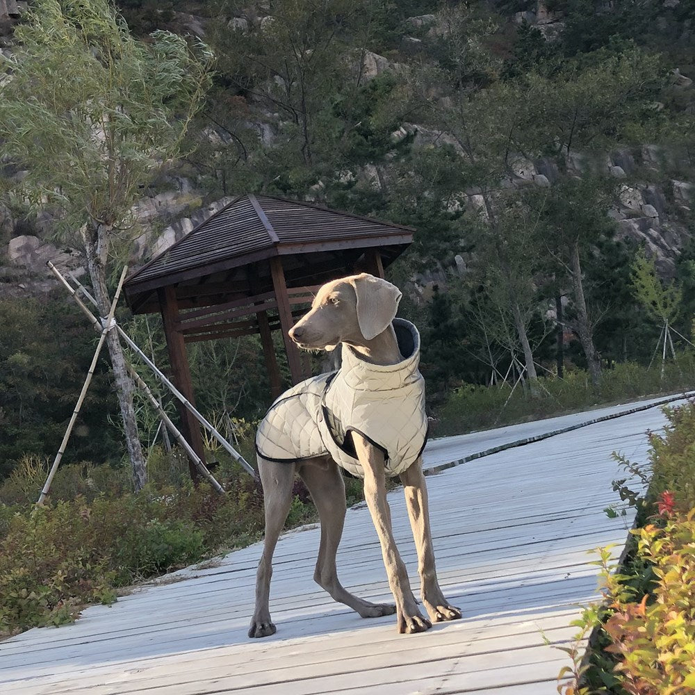 Pet Reflective Tactical Jacket For Dogs