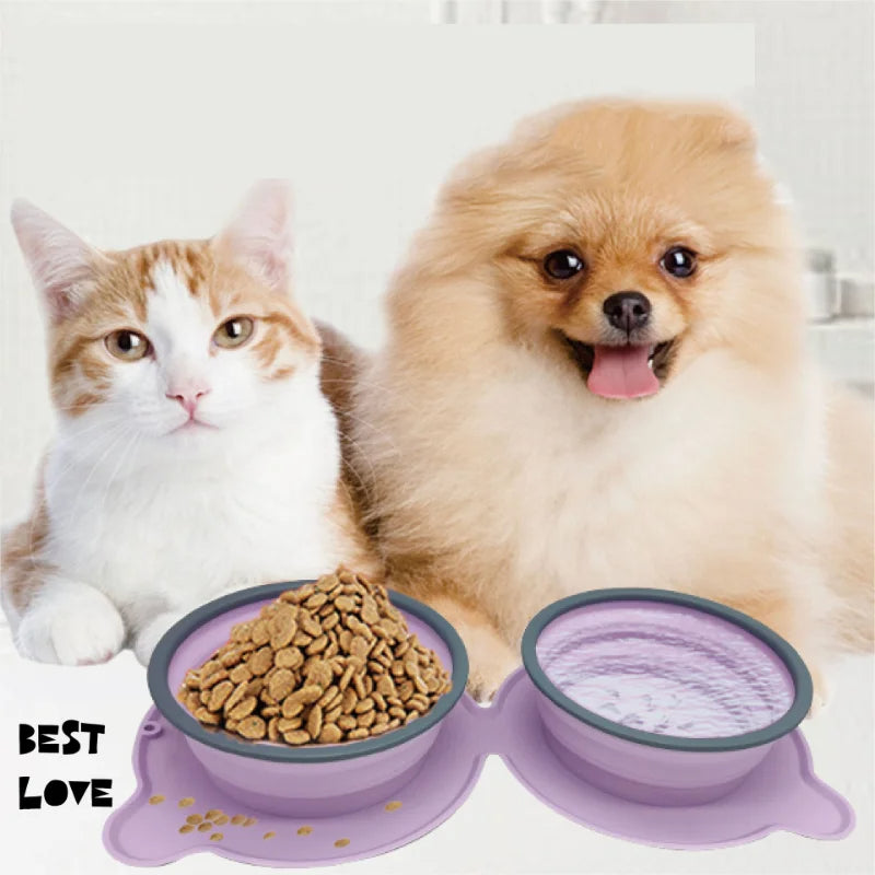 Portable Silicone Double Food Bowls