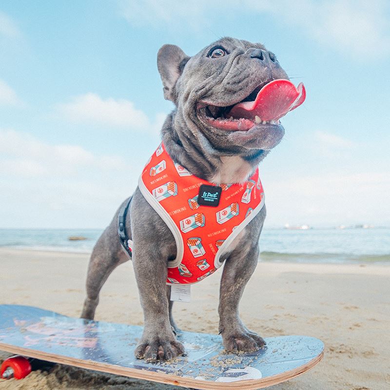 Pet Chest Strap Dog Leash