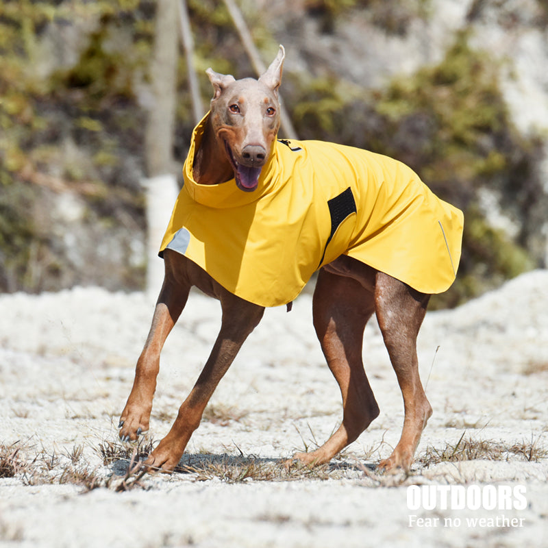 Pet Shell Dog Waterproof Jacket